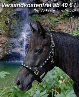 Reitshop: blaue, rote und schwarze Reitkappe