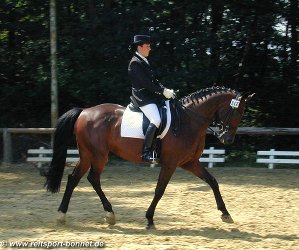 Reiten: Reitturnier (anklicken zum Vergrern - click to enlarge)