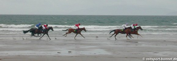 Pferderennen in Kerry - Horse races (click to enlarge)