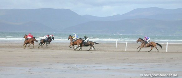 Irland: Pferderennen - Horse races (click to enlarge)