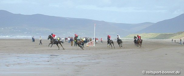 Pferderennen - Horse races