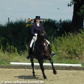 Reiten: Reitturnier (anklicken zum Vergrern - click to enlarge)