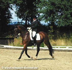 Reiten + Pferde: Reitturnier in Kevelaer