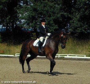 Reiten + Pferde: Reitturnier (anklicken zum Vergrern - click to enlarge)